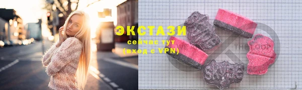 дживик Няндома