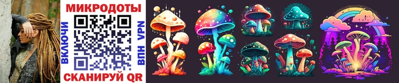 blacksprut ссылка  Чулым  Псилоцибиновые грибы Magic Shrooms 